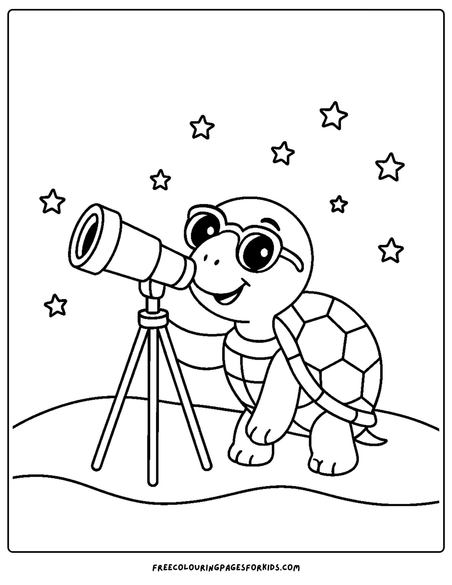 a turtle looking at the stars in the sky