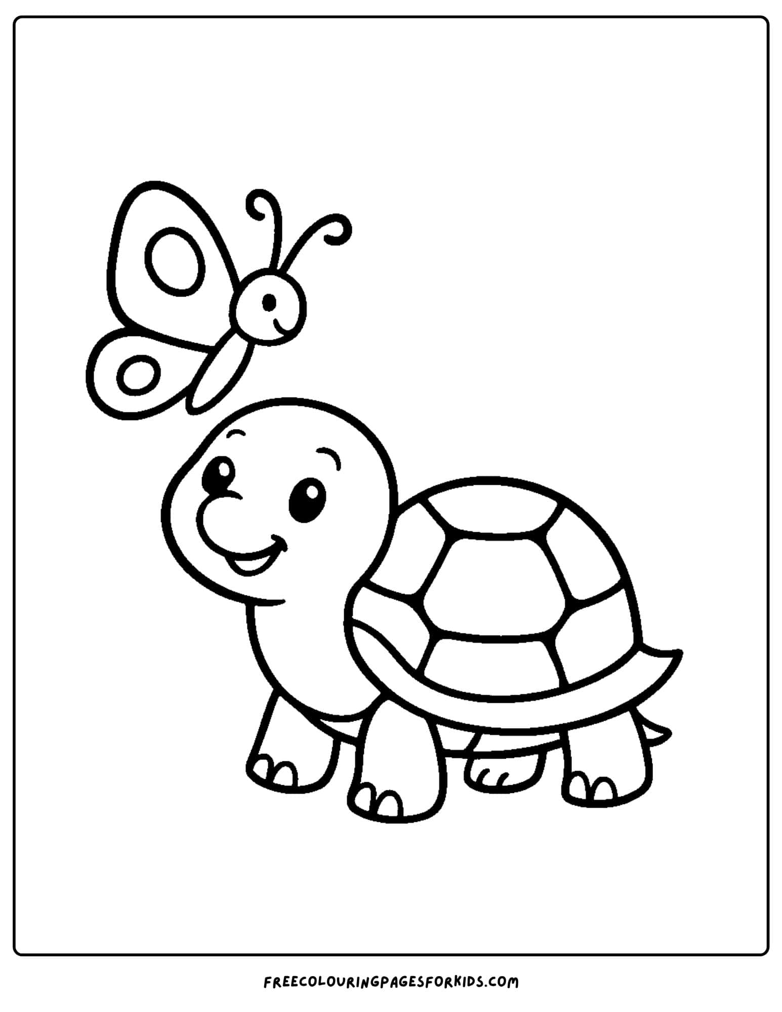 a turtle meeting a butterfly