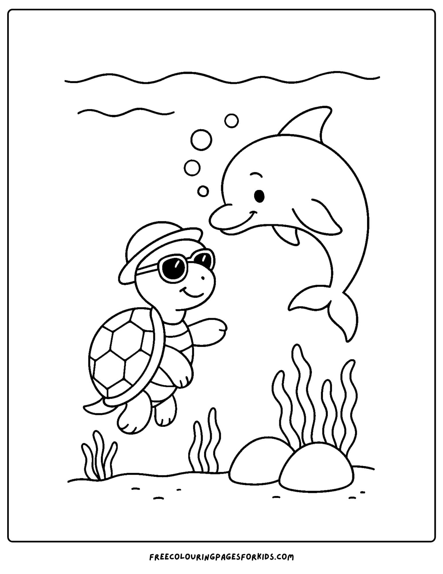 a turtle meeting a dolphin