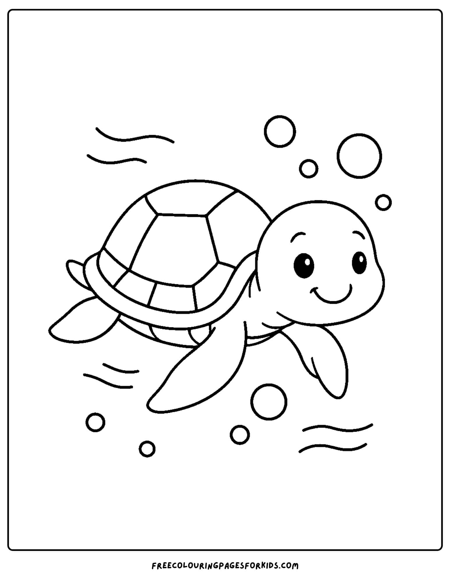 a turtle swimming with bubbles