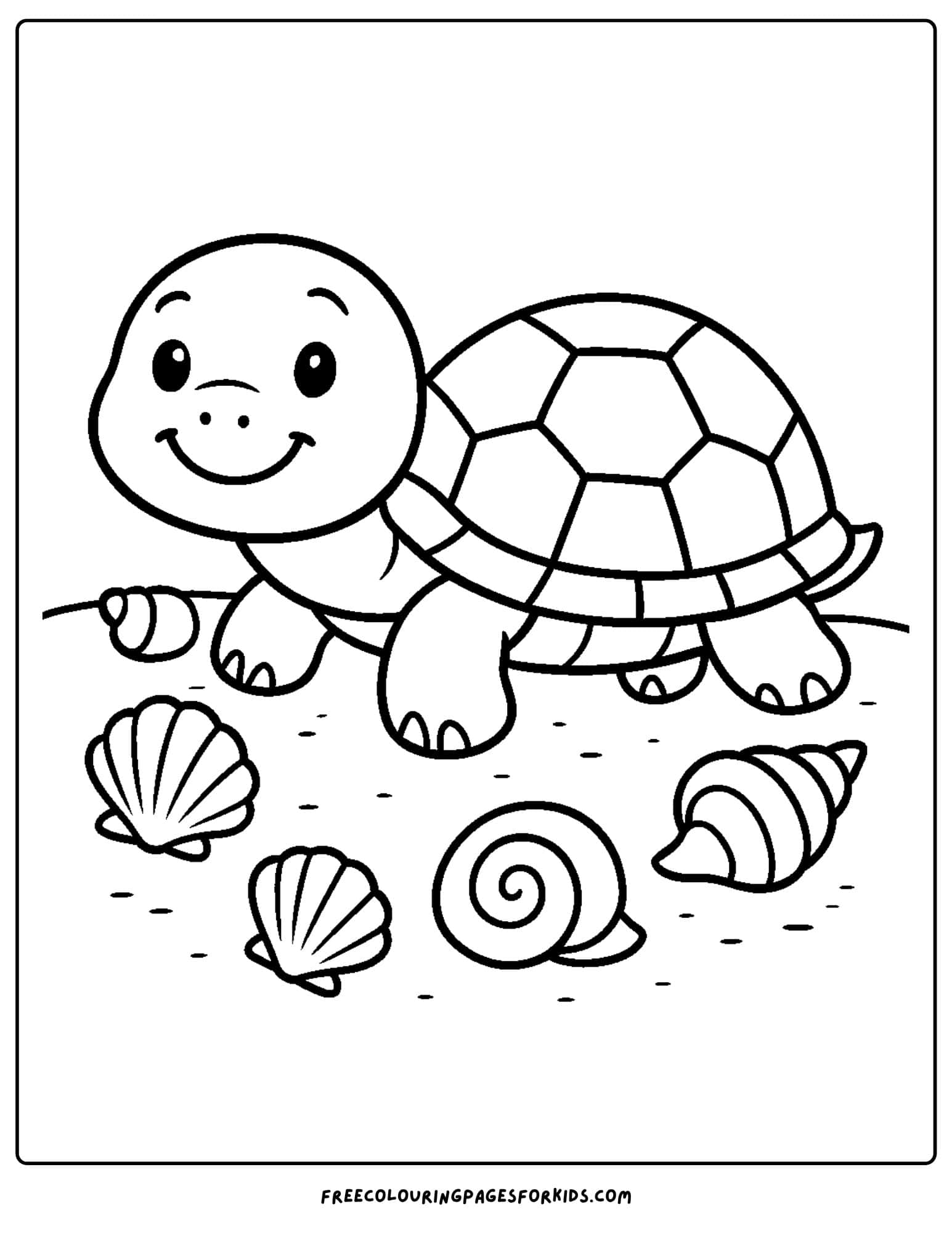 a turtle with shells around