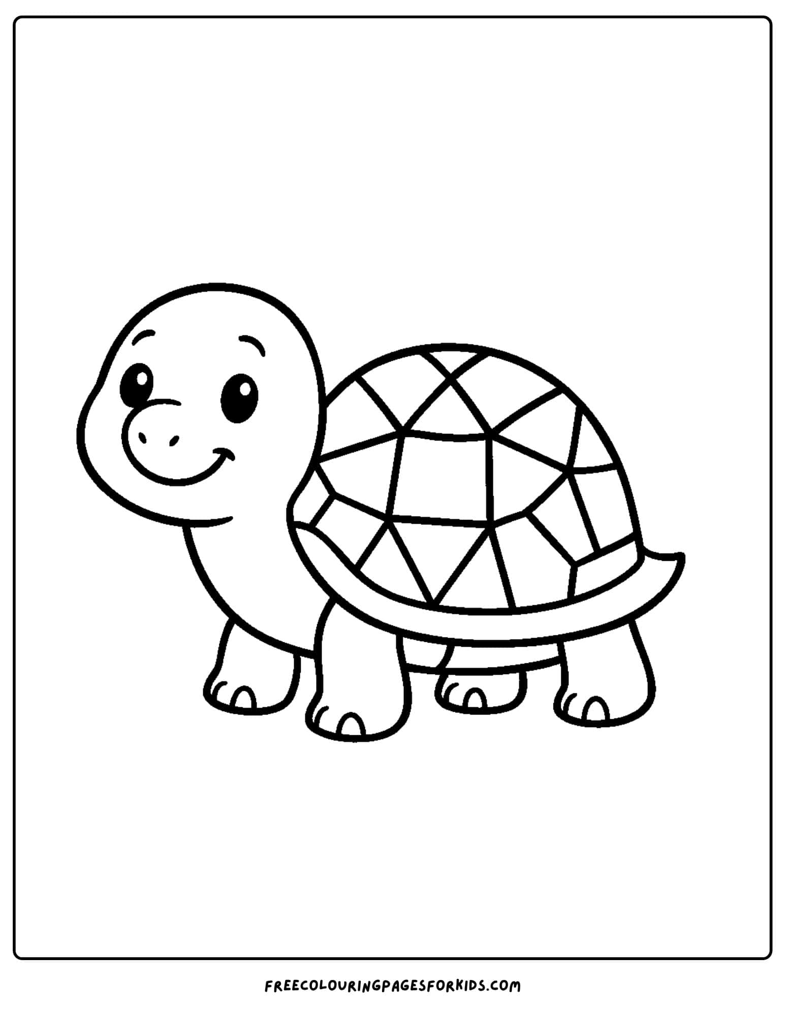 a turtle with a patchwork design shell