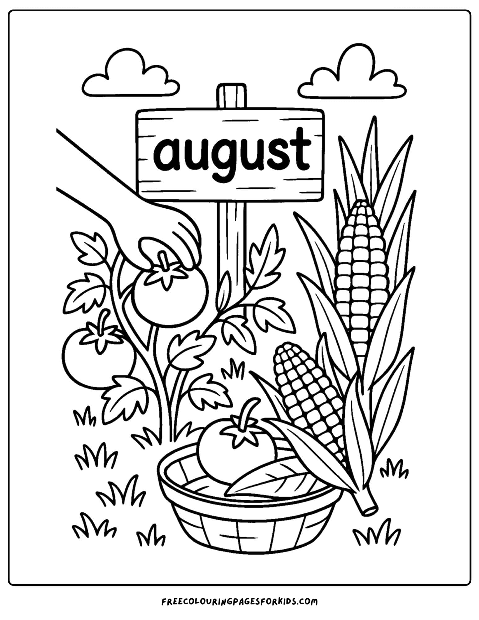 august coloring page of a veggie garden