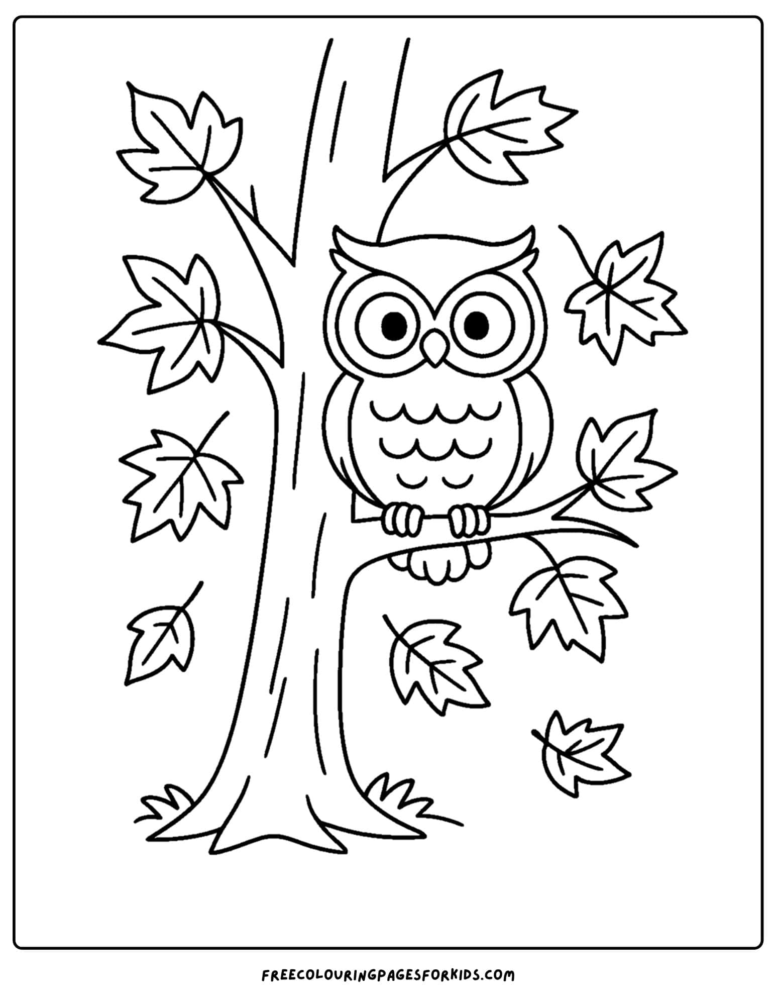 fall coloring page of a an owl sitting in a tree