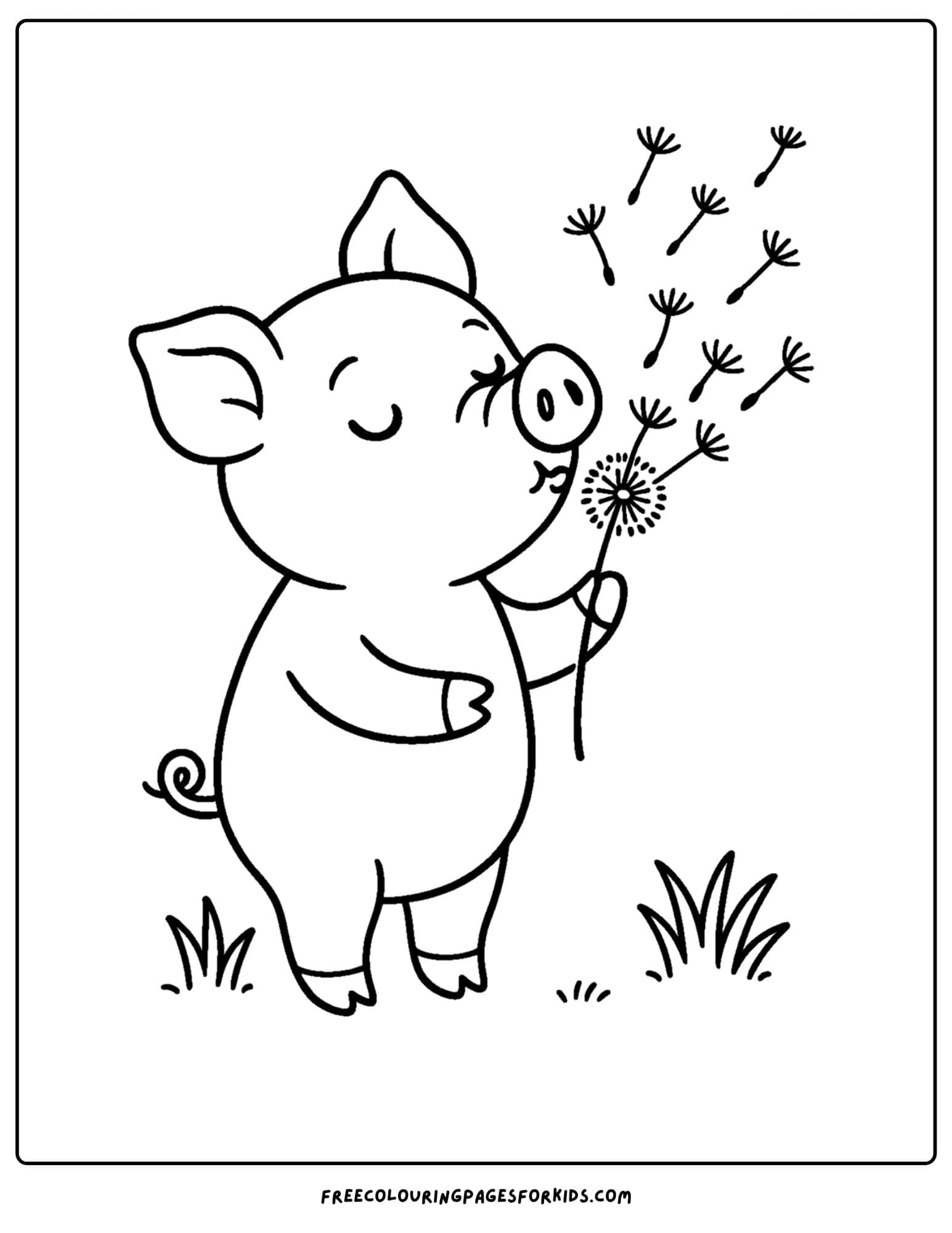 a pig blowing a dandelion
