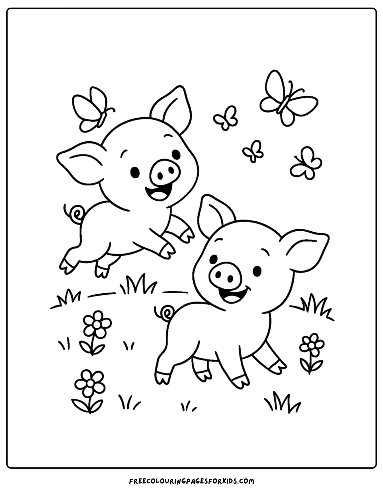 pigs chasing butterflies