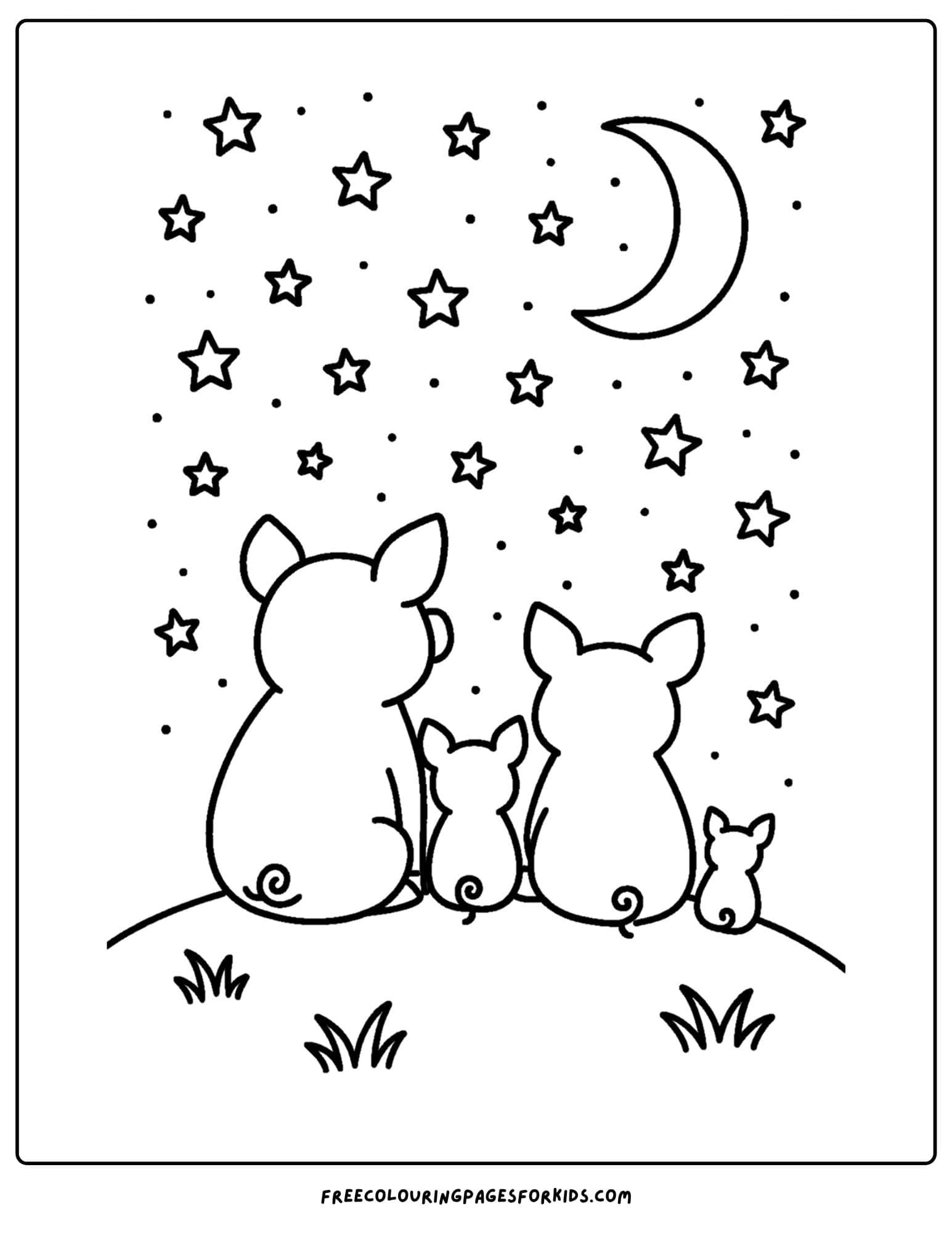 pigs watching the stars at night