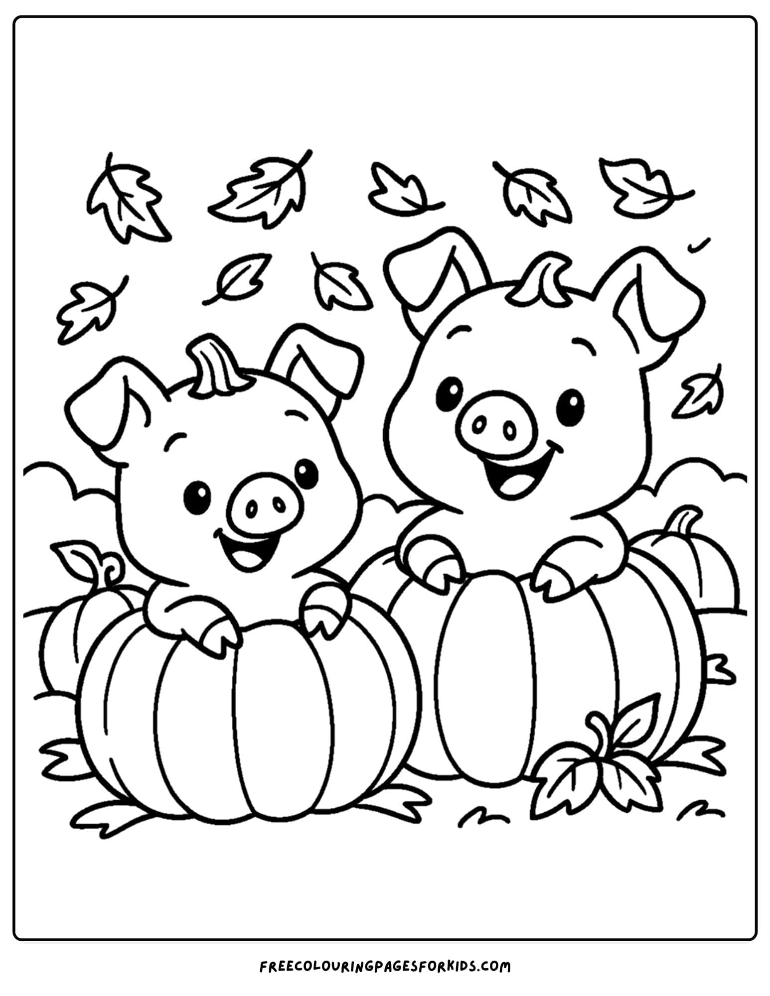 pigs hiding inside pumpkins