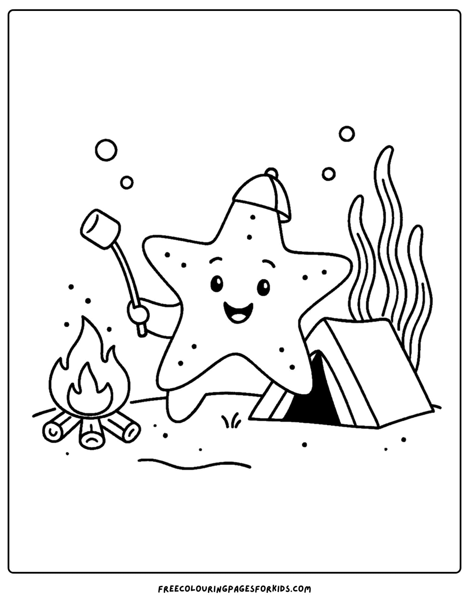 a starfish camping