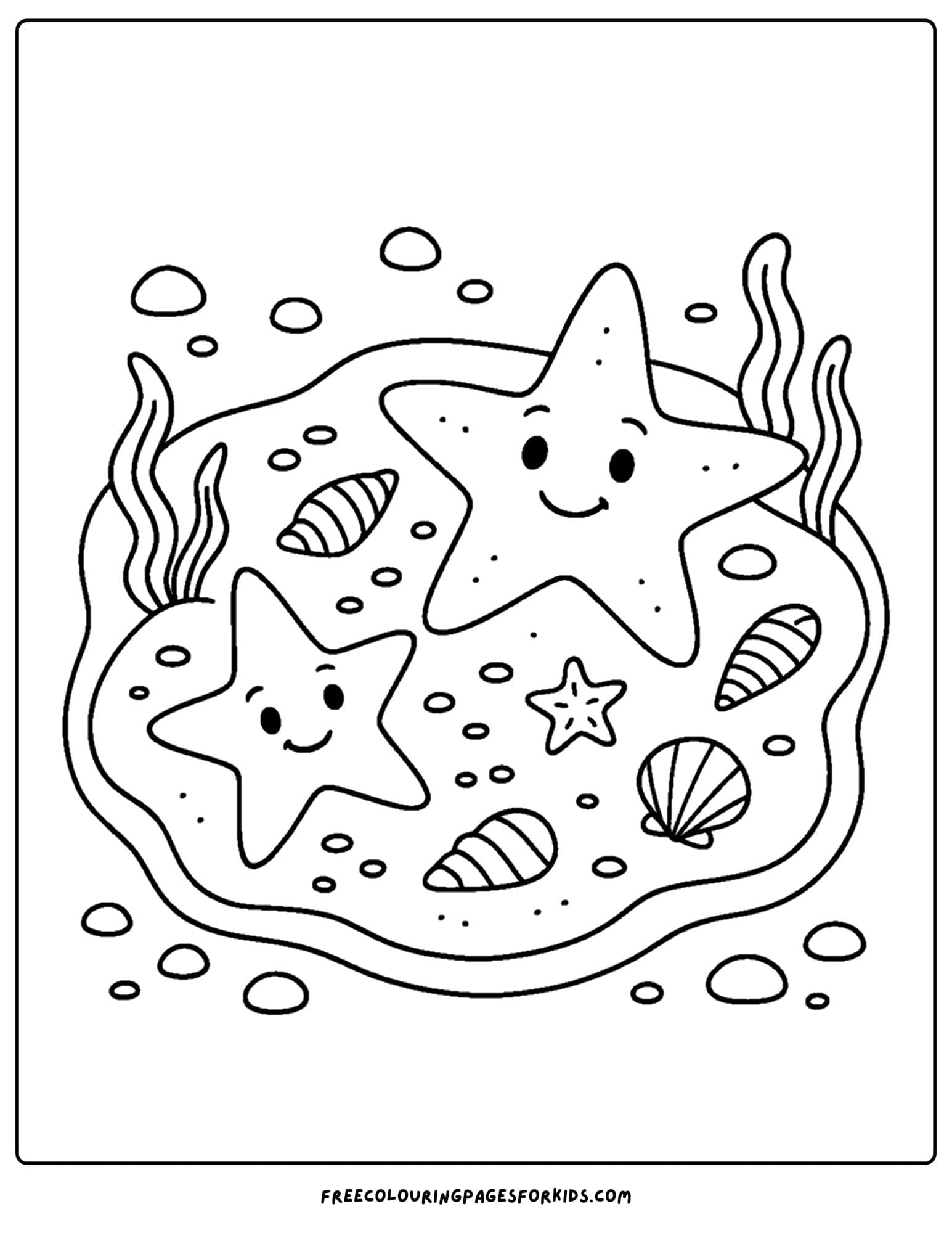 starfish in a tide pool