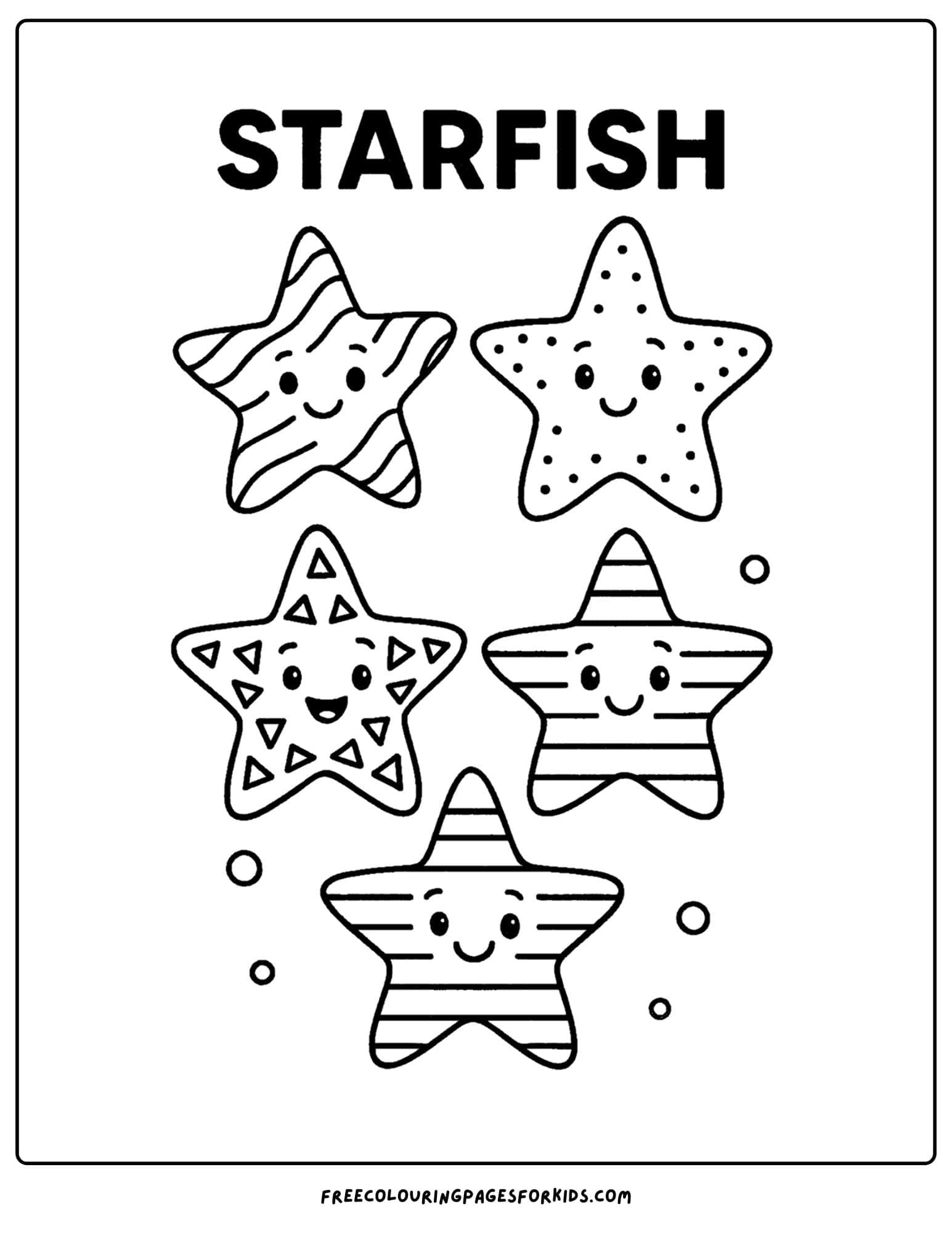 a starfish collection