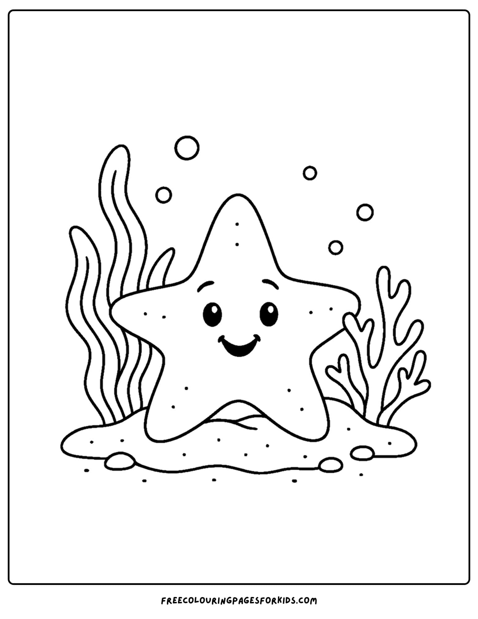 a starfish under the sea
