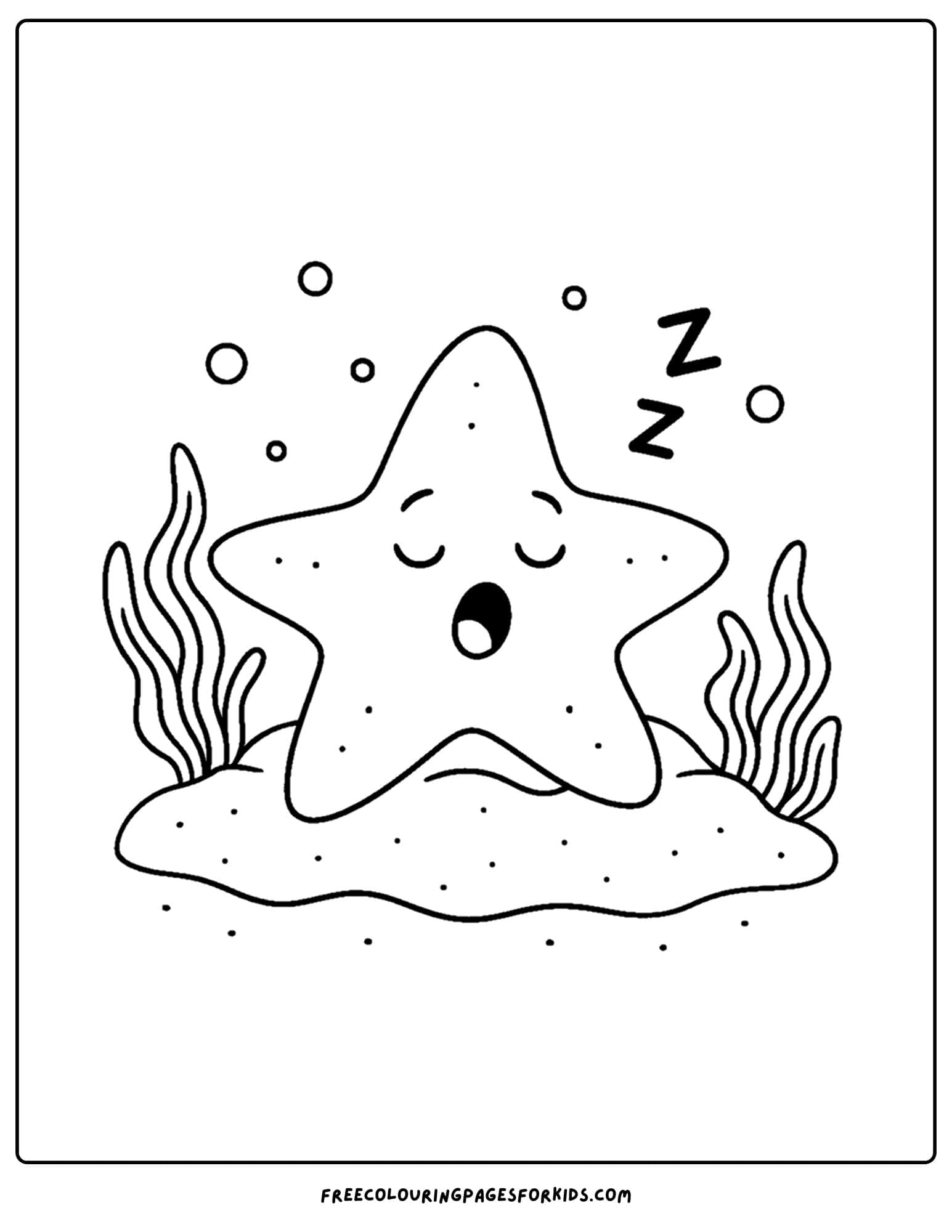 a starfish sleeping on the sand