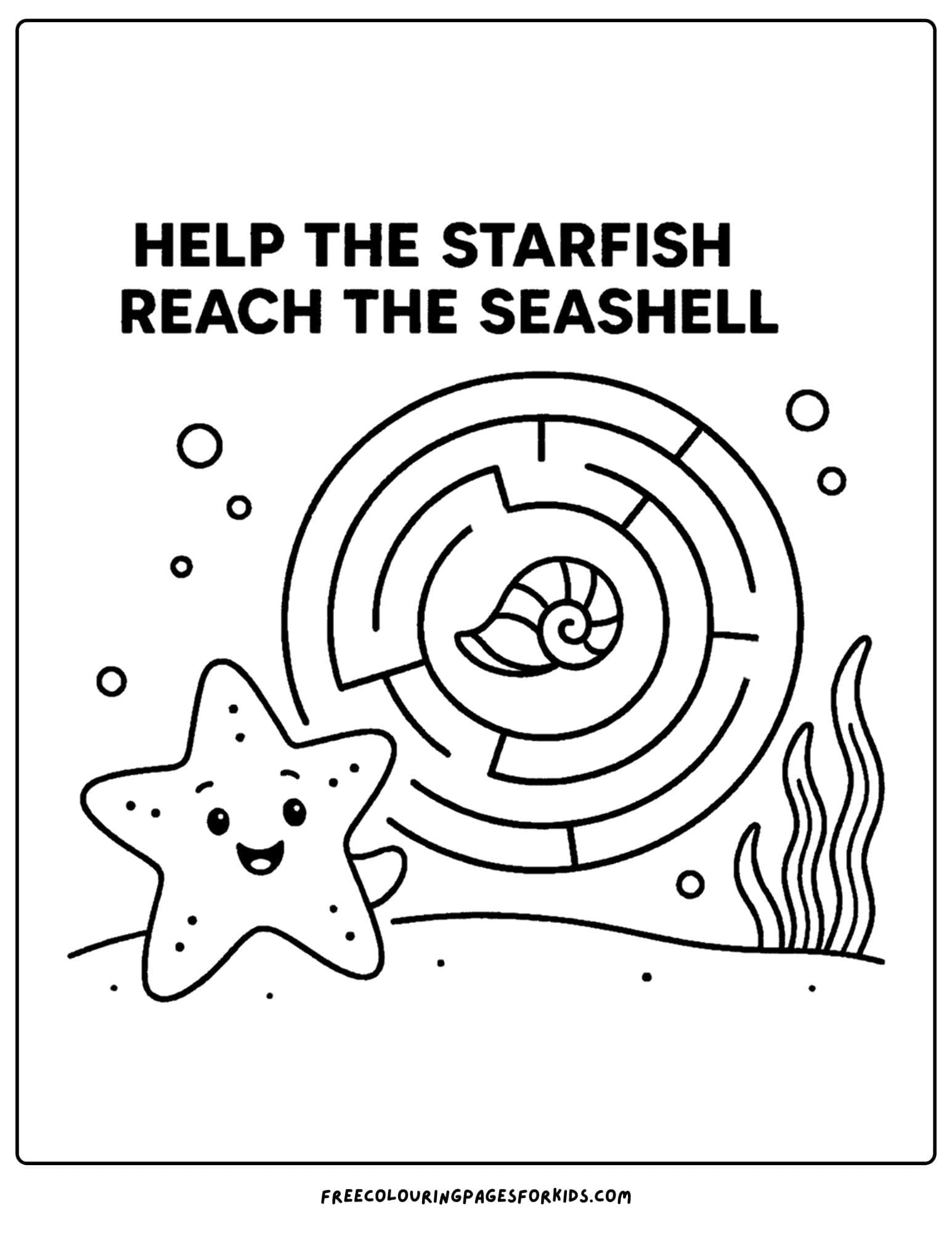a starfish maze puzzle