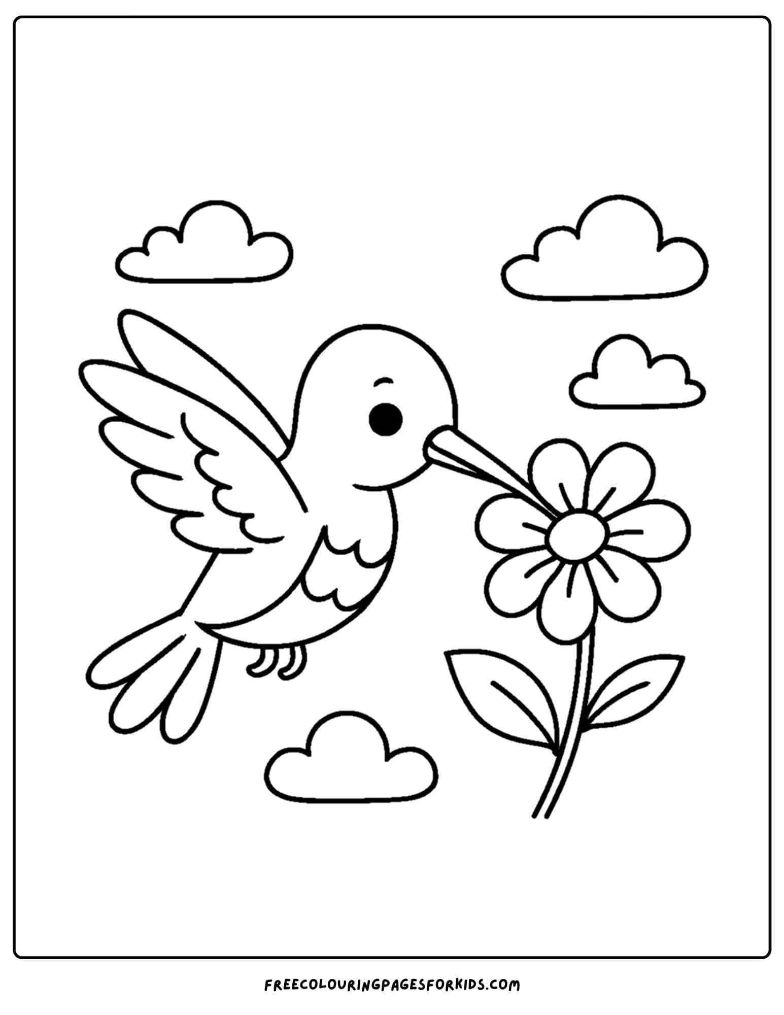 a hummingbird and a flower coloring page