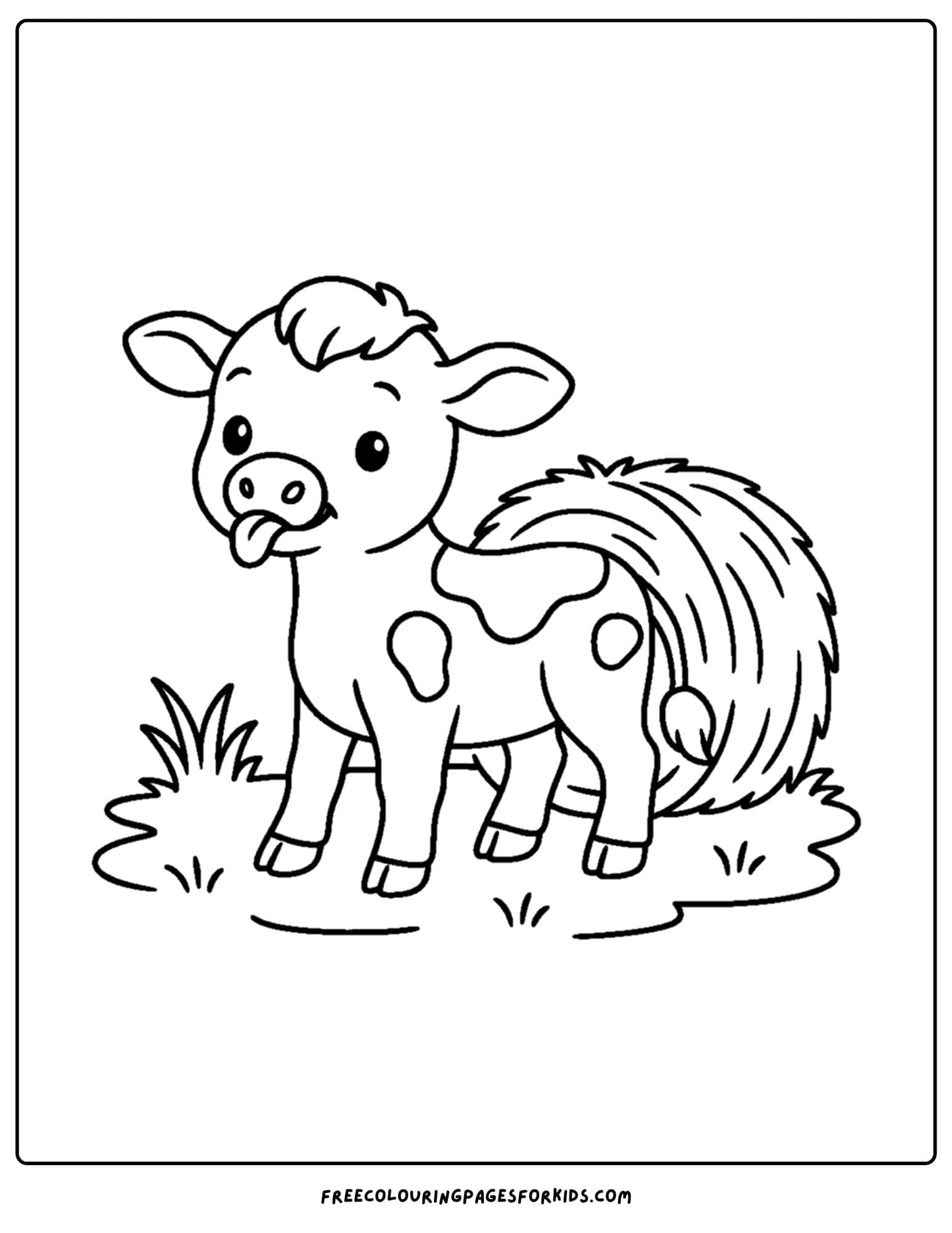 a farm coloring page featuring a calf poking its tongue out