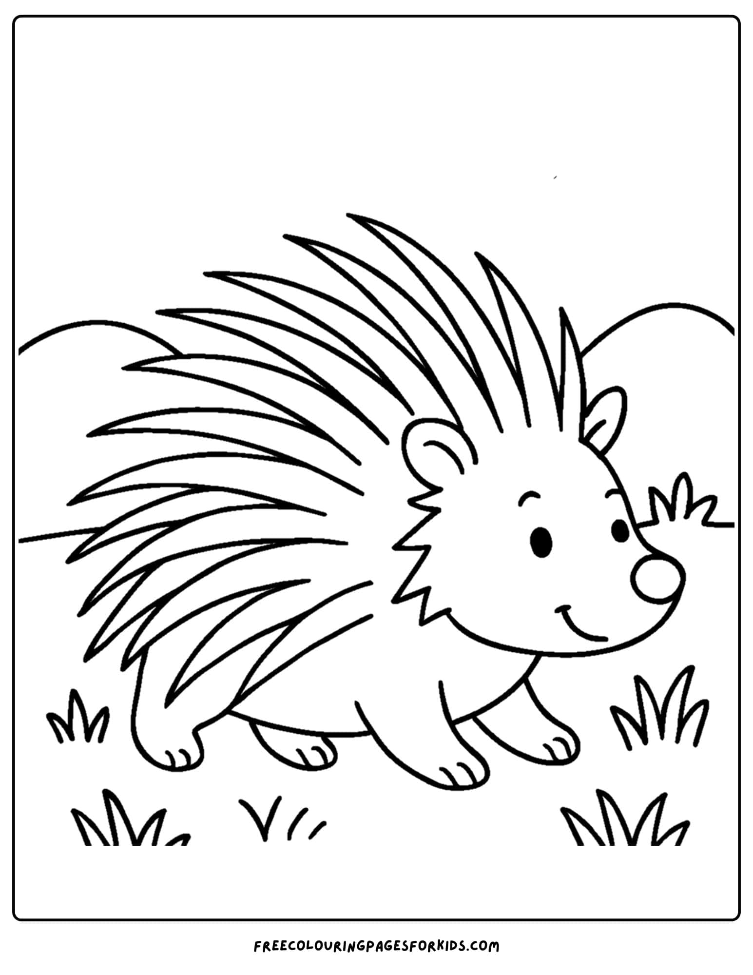 a wild animal coloring page featuring a porcupine walking across the grass