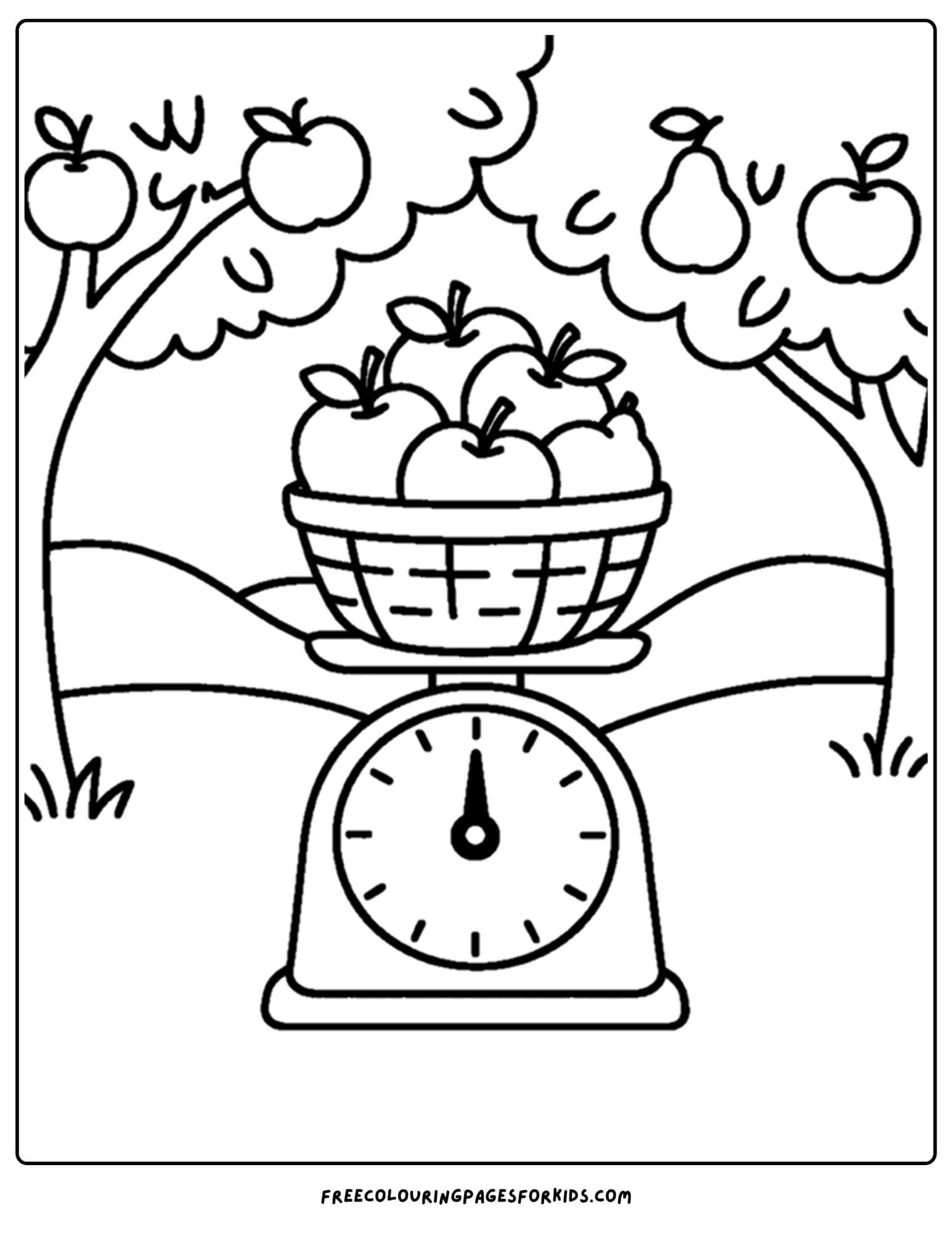 an orchard themed coloring page featuring fruit being weighed on a scale