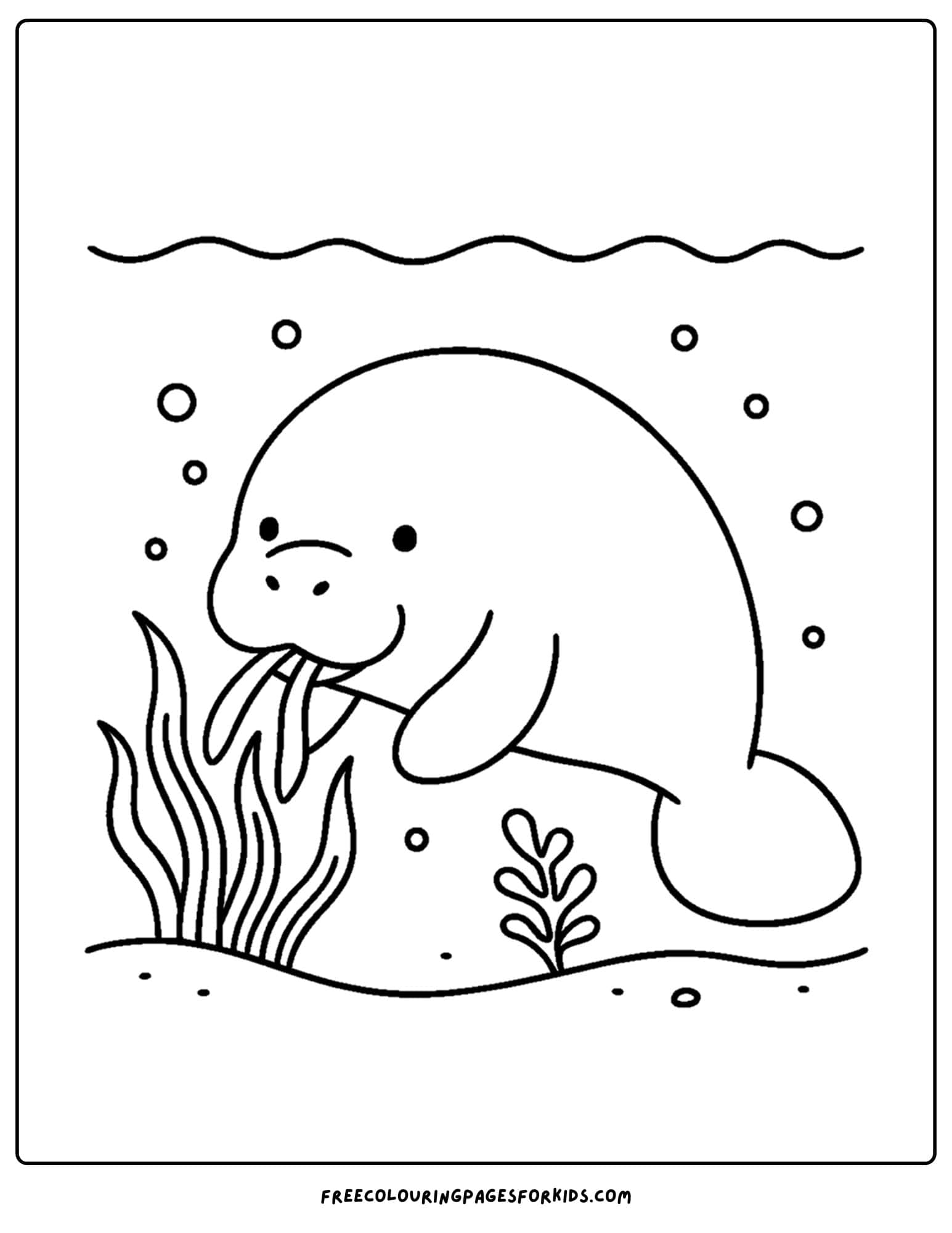 a manatee coloring page showing a manatee munching on some sea grass