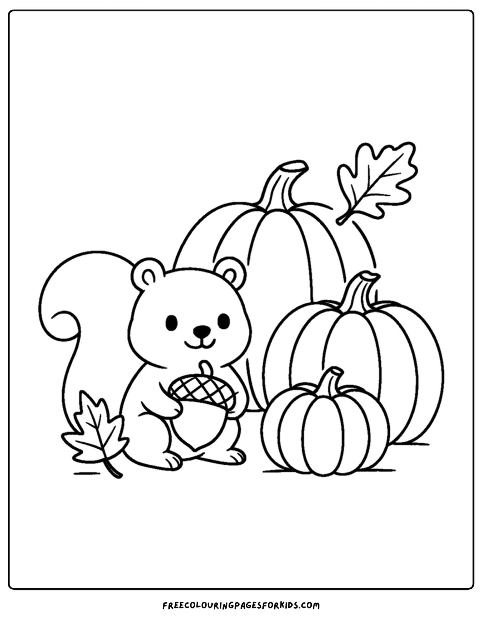 a thanksgiving coloring page of a squirrel with pumpkins
