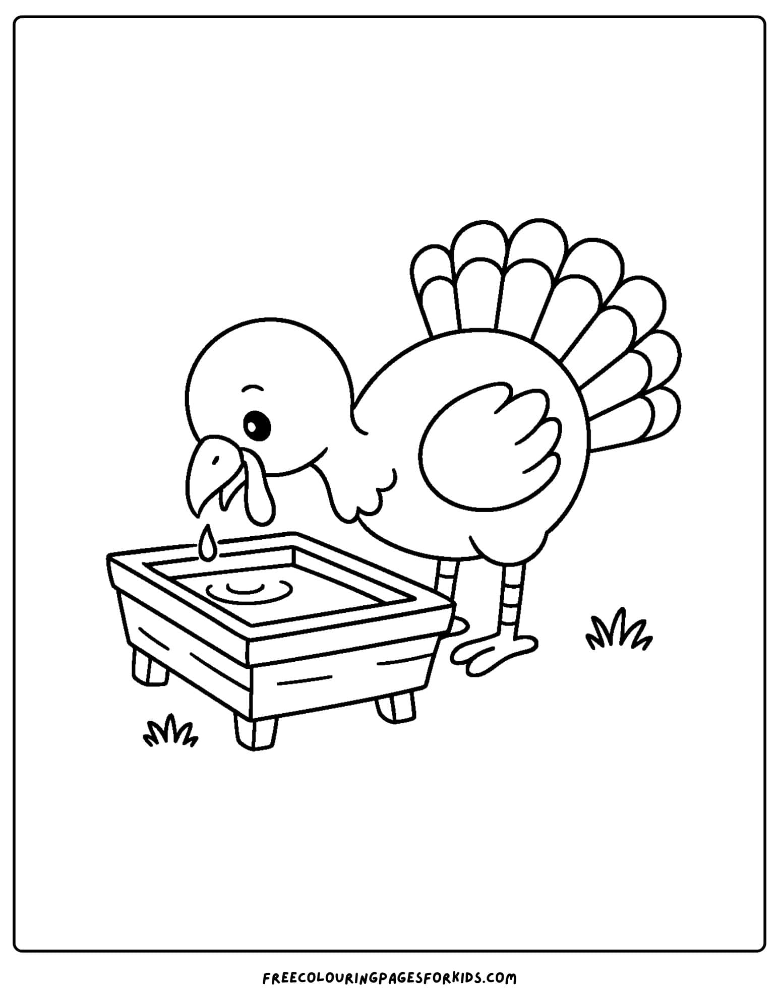 a turkey coloring page featuring a turkey drinking water
