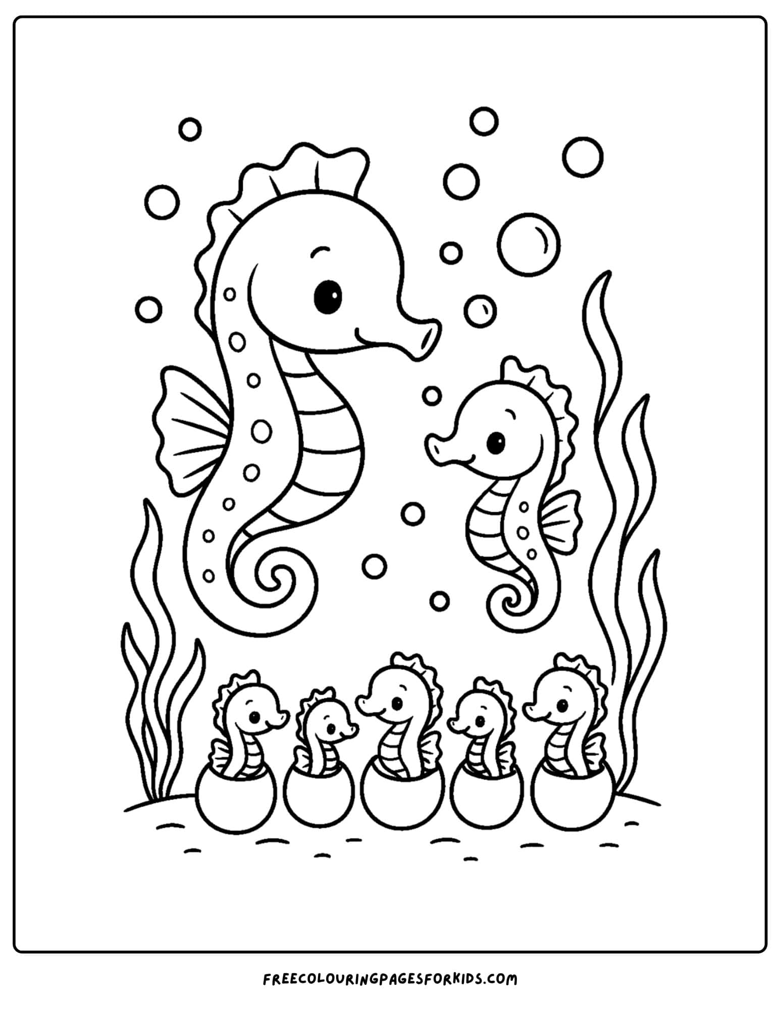 a seahorse coloring page featuring baby seahorses