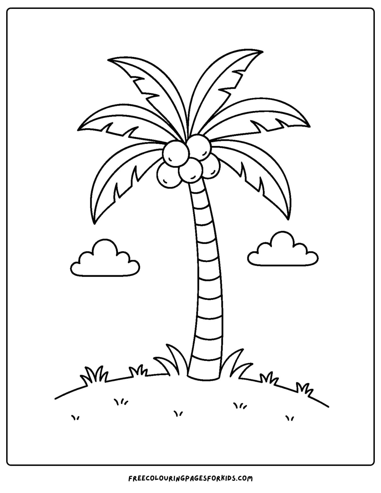 a palm tree coloring page featuring a palm tree with coconuts