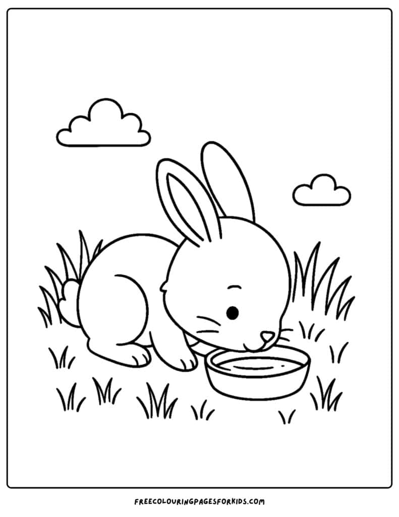 Bunny Coloring Pages