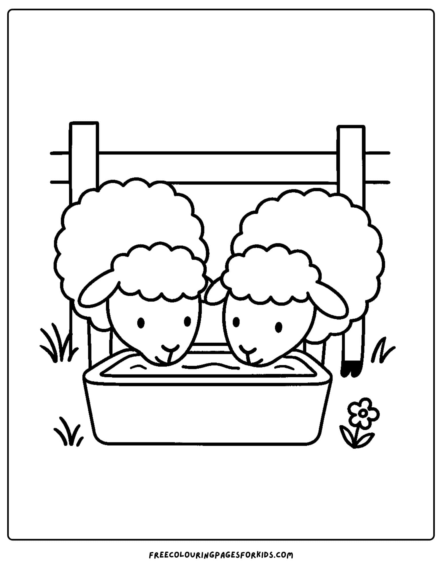 a sheep coloring page with two sheep drinking from a trough
