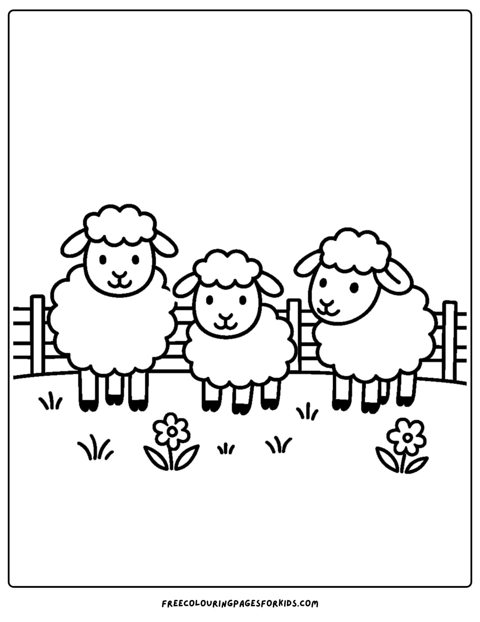 a sheep coloring page with three sheep standing in a meadow with a fence behind them
