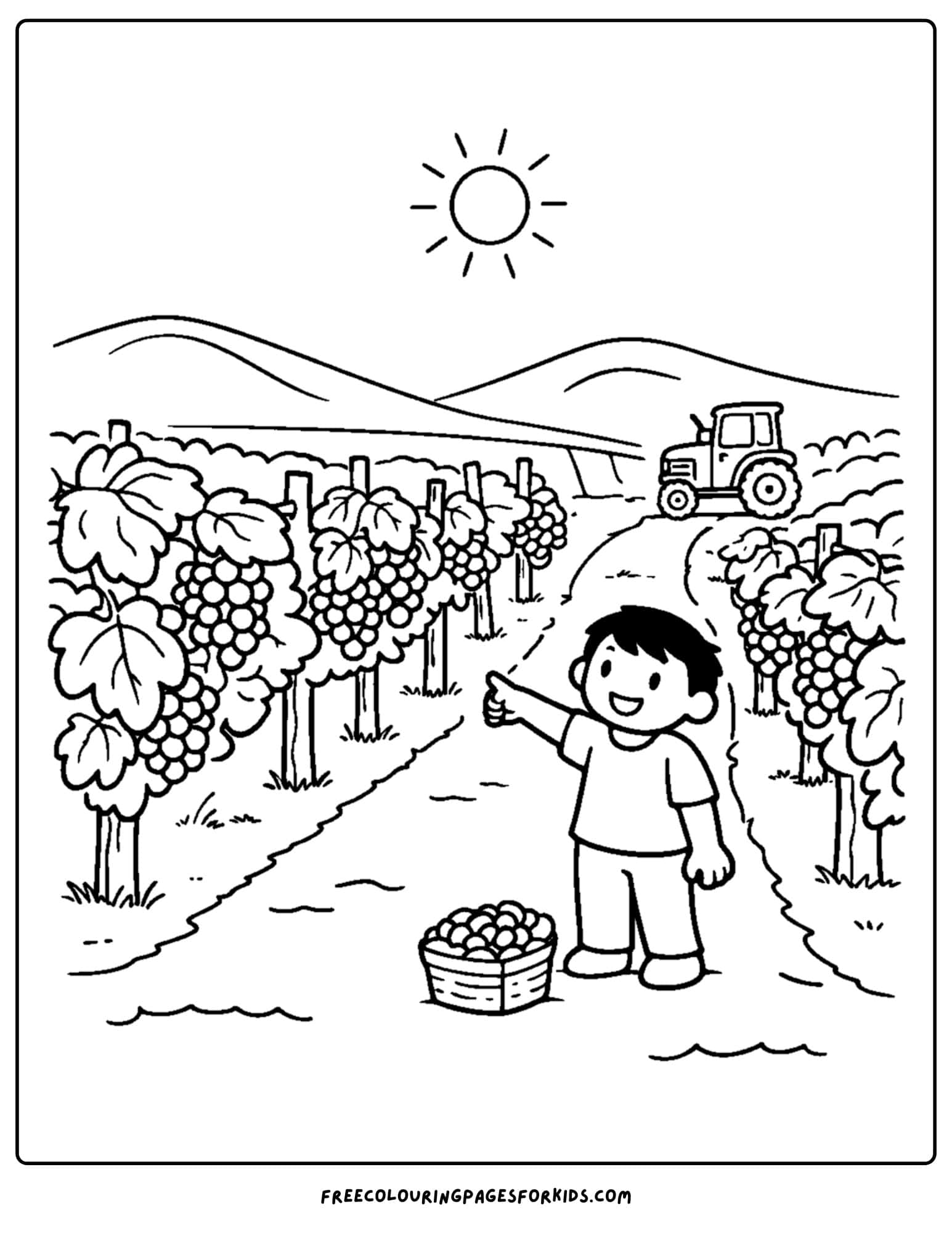 an italy coloring page showing a tuscan vineyard picking grapes