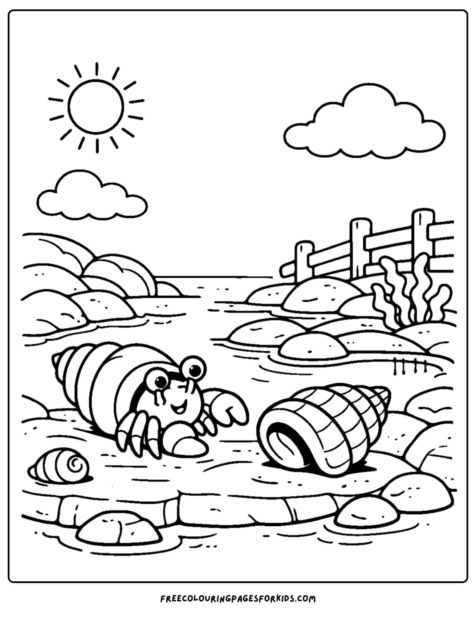 a tide pool coloring page showing a hermit crab swapping shells