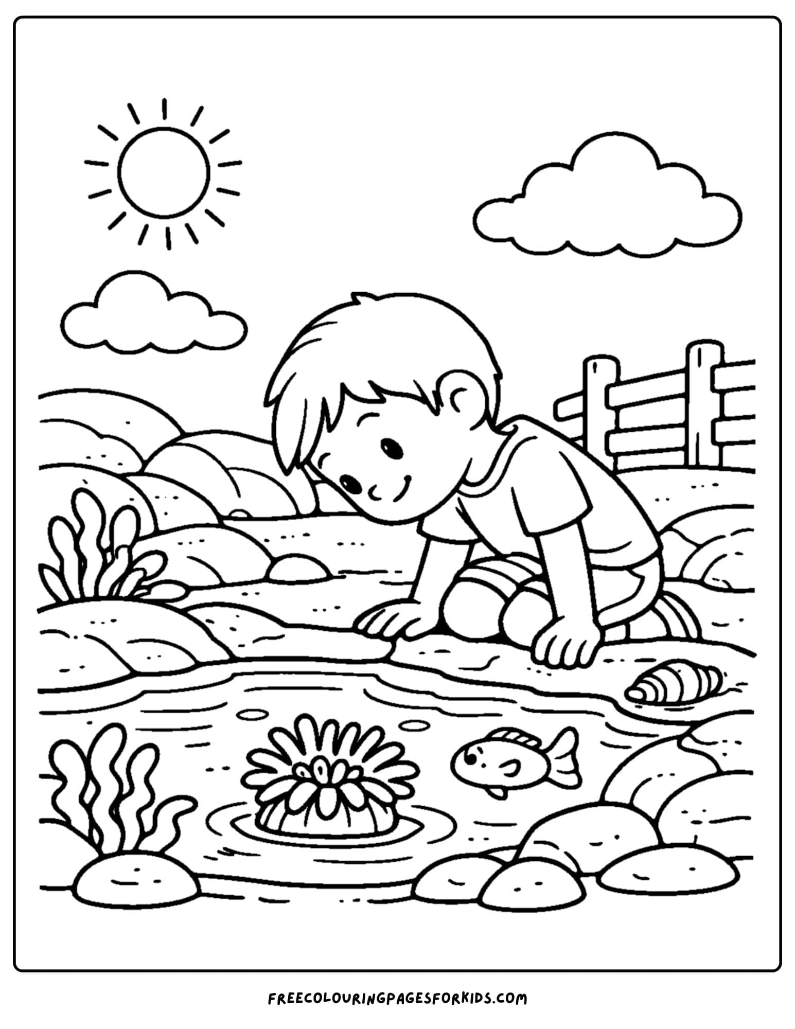 a tide pool coloring page showing a kid peeking at an anemone
