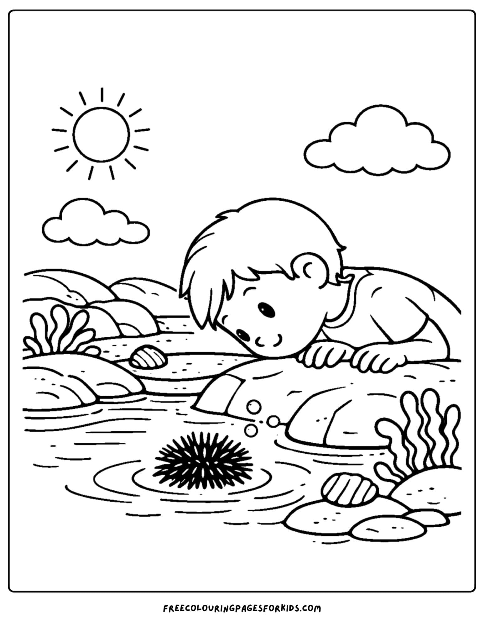 a tide pool coloring page showing a kid spotting a sea urchin in the water