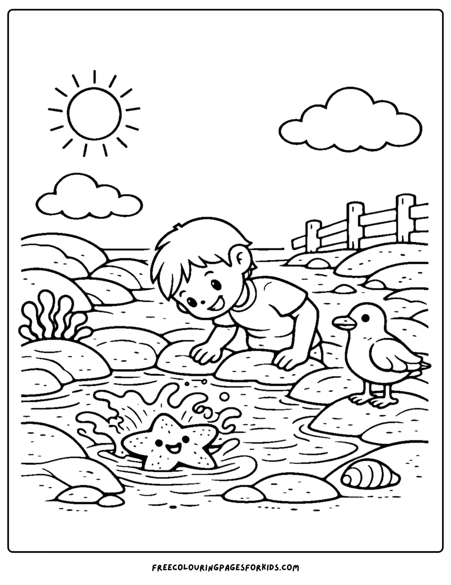 a tide pool coloring page showing a kid and seagull looking at a starfish