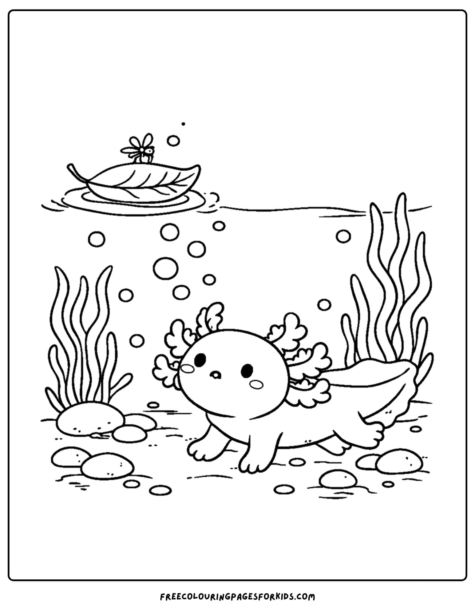 a coloring page of an axolotl looking up at a leaf floating on the water