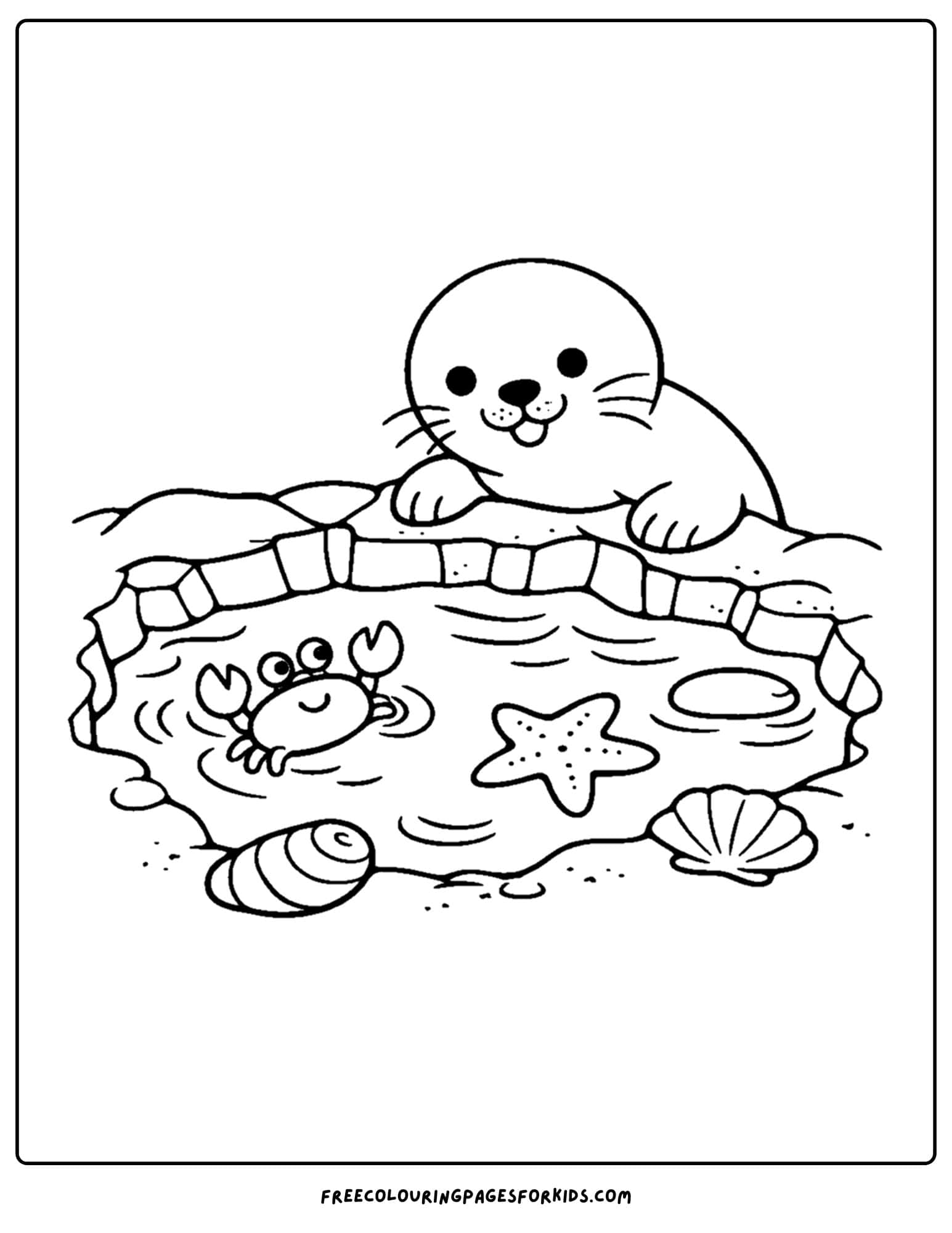 a coloring page of a seal looking into a tide pool full of animals