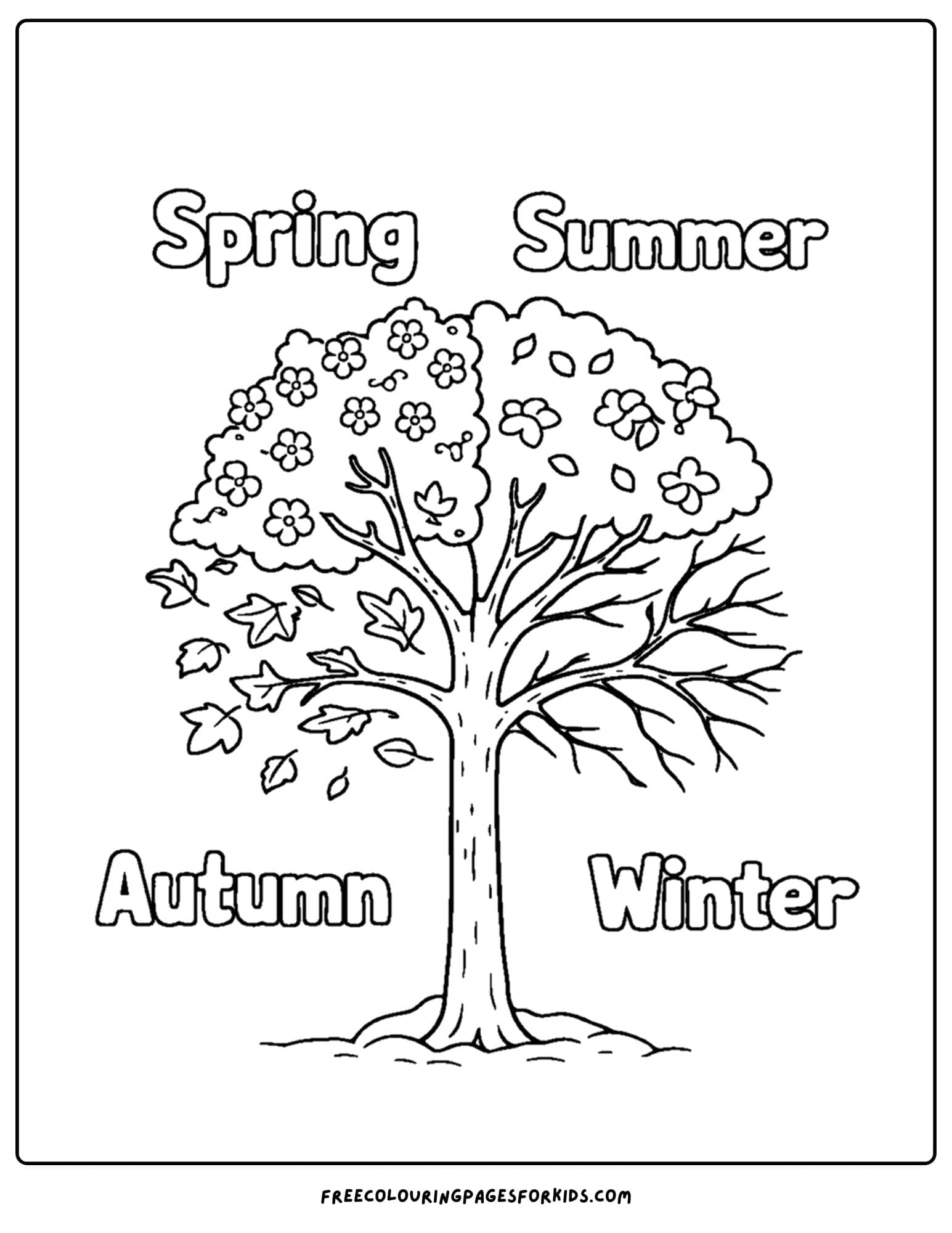 a season coloring page showing a tree depicting the four seasons of summer, spring, winter and autumn or fall with its leaves