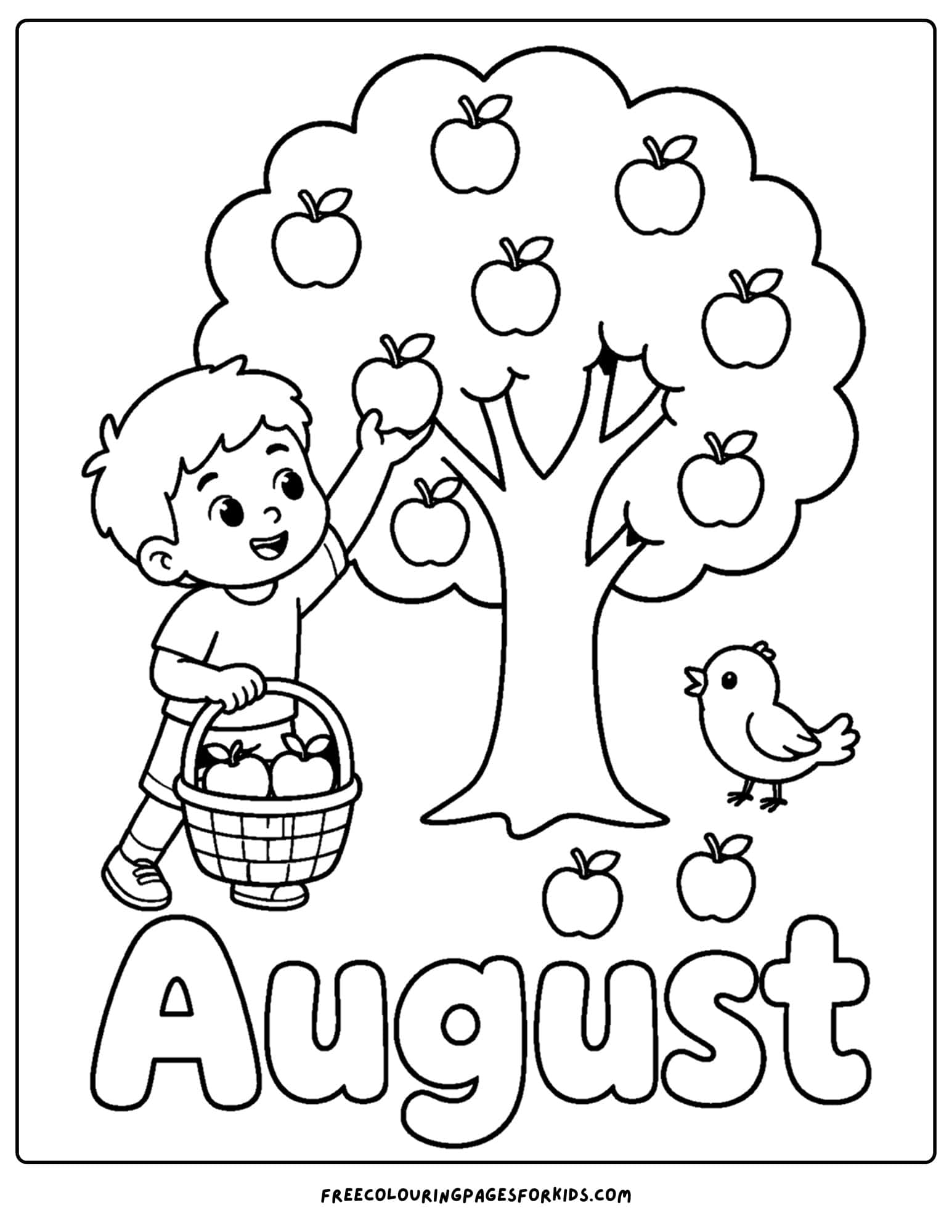 an august month of the year coloring page showing a child picking apples from a tree