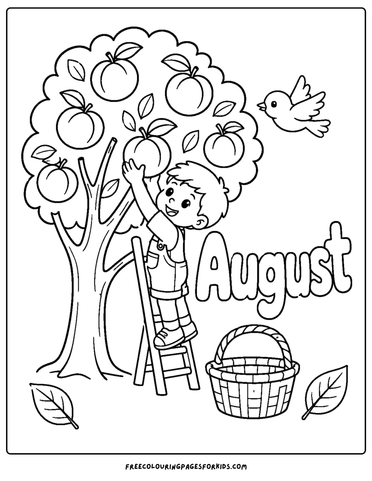 an august month of the year coloring page showing a child picking peaches in an orchard