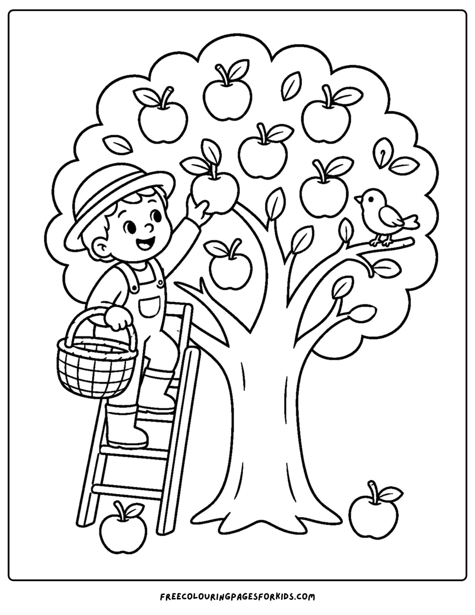 a harvest coloring page showing a farmer picking apples from the tree