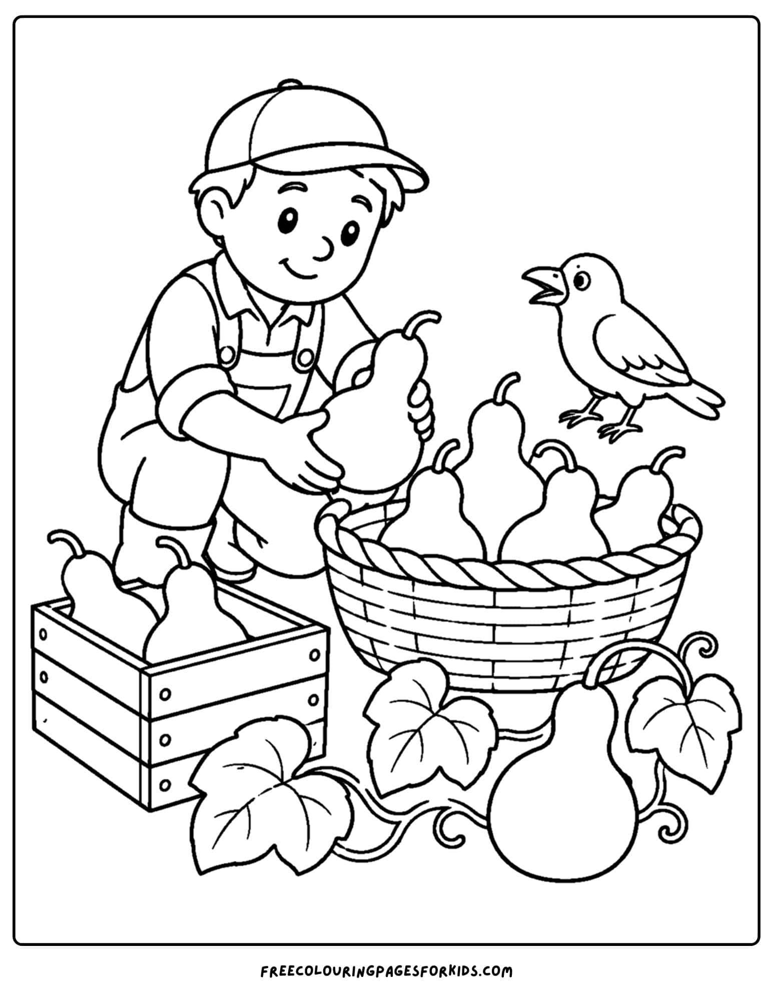 a harvest coloring page showing a farmer putting picked gourds into baskets and crates