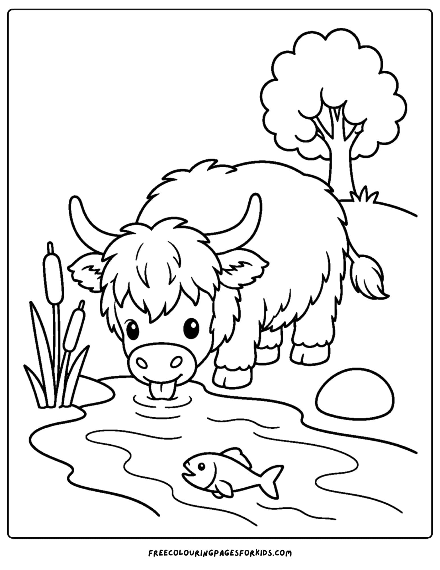 a coloring page of a highland cow drinking from a stream