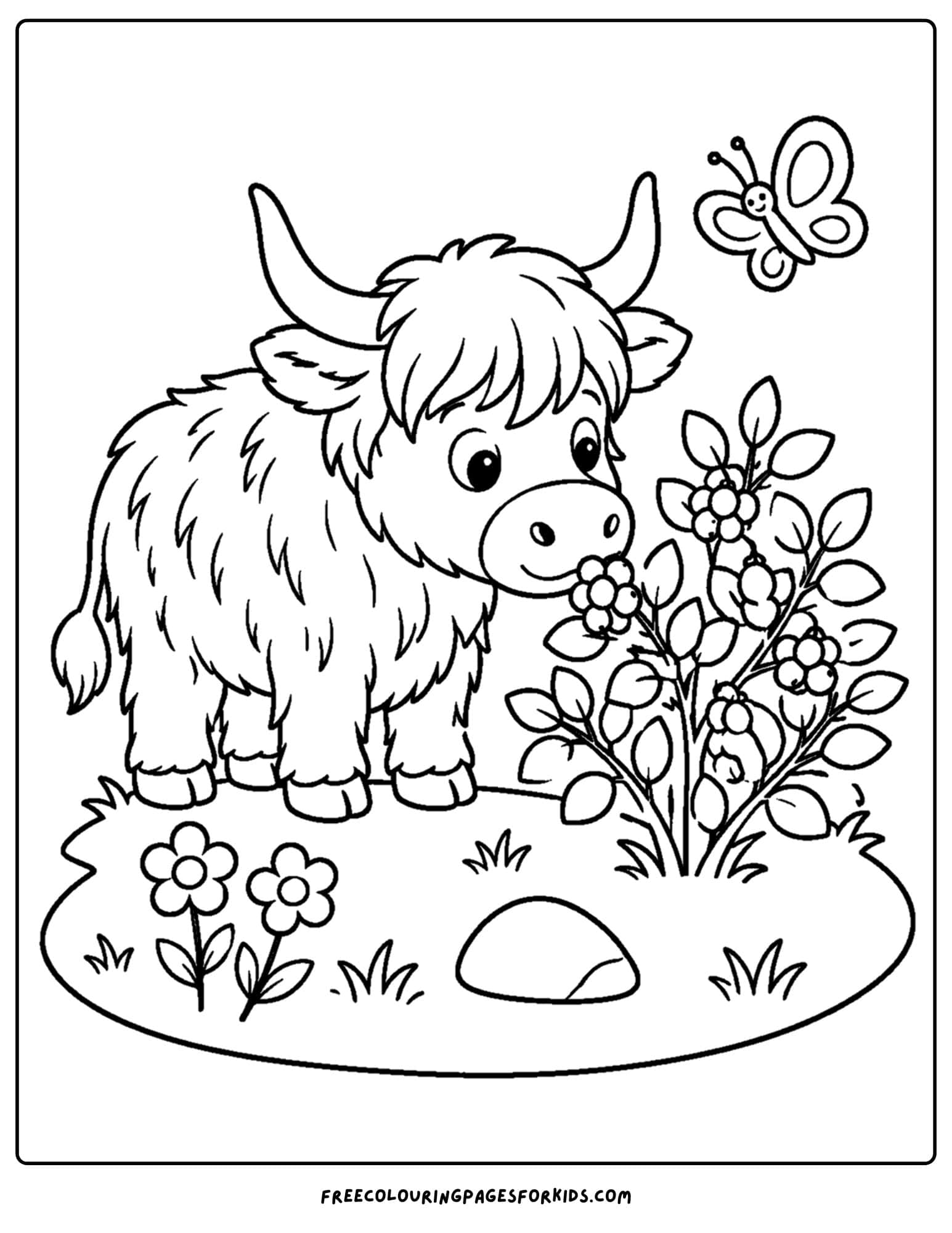 a coloring page of a highland cow smelling a berry bush