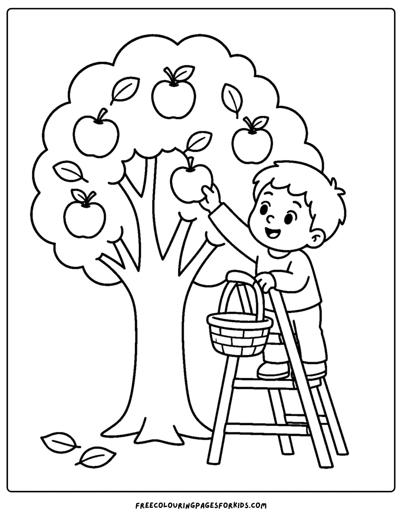 an orchard coloring page showing a child on a ladder picking an apple