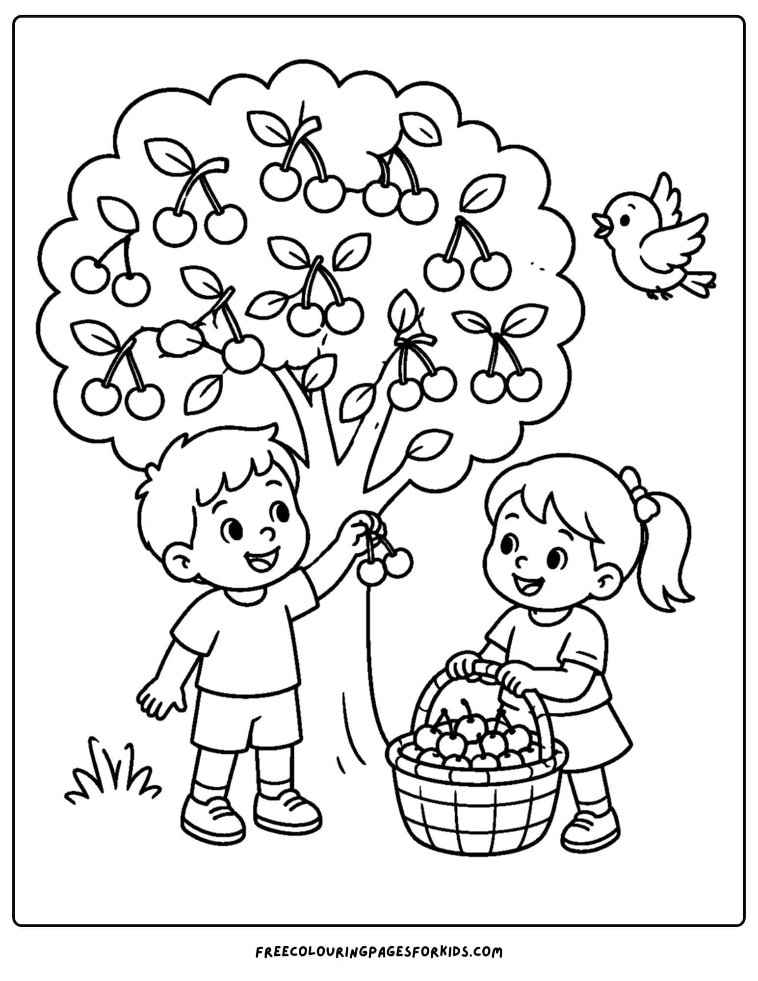 an orchard coloring page showing children picking cherries