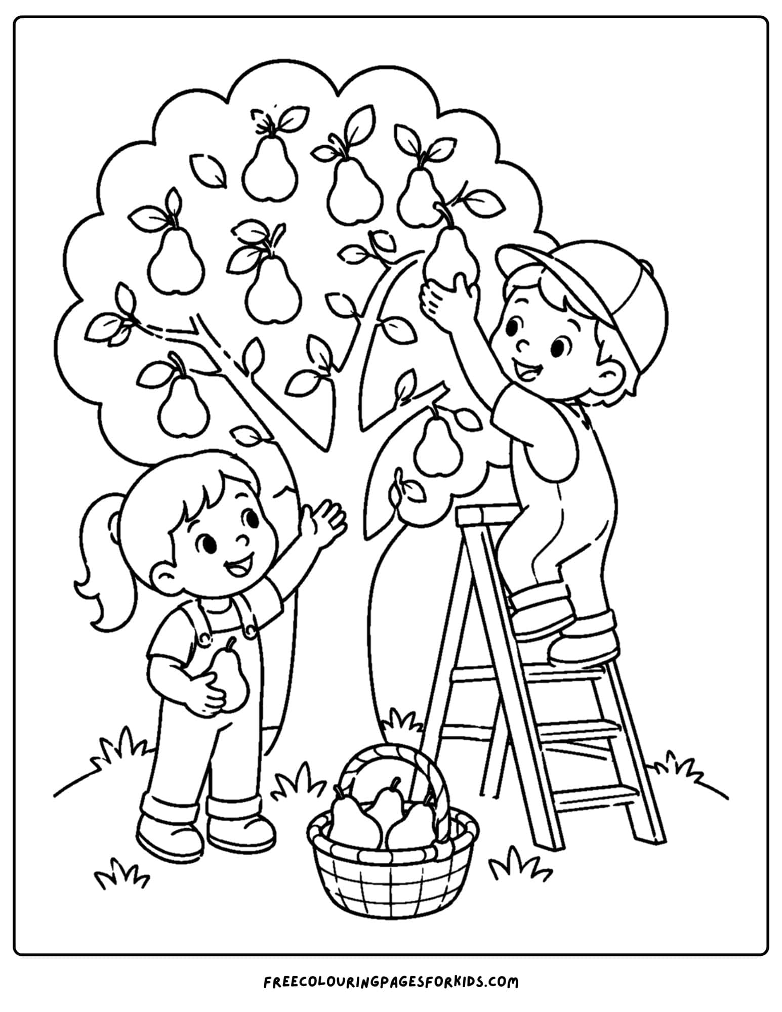an orchard coloring page showing children picking pears