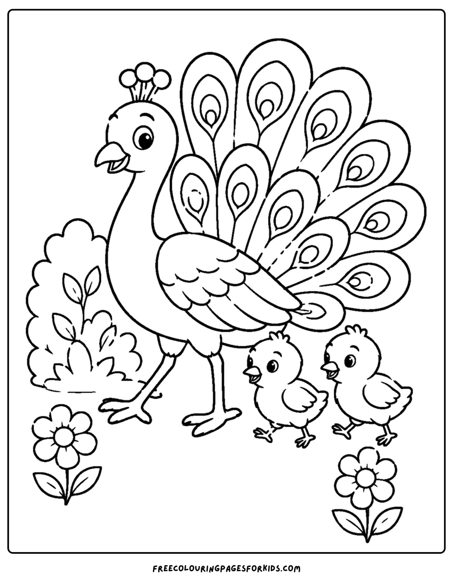 a zoo animal coloring page featuring a peacock family