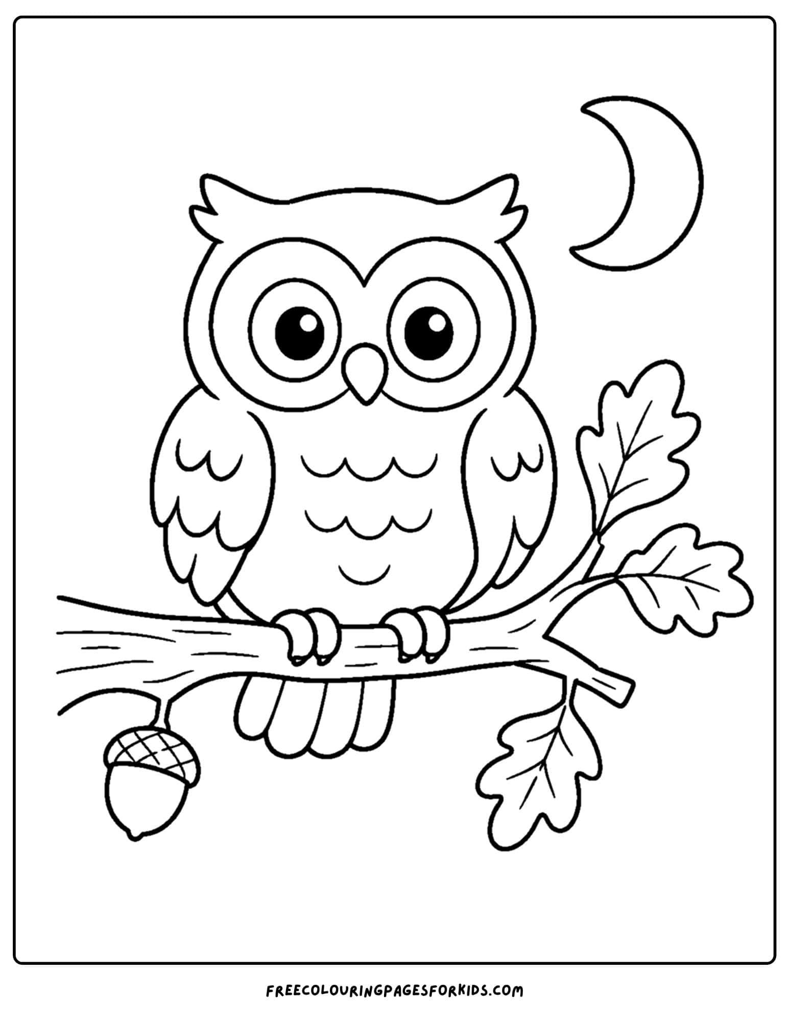 a fall themed coloring page showing an owl sitting on a branch at night