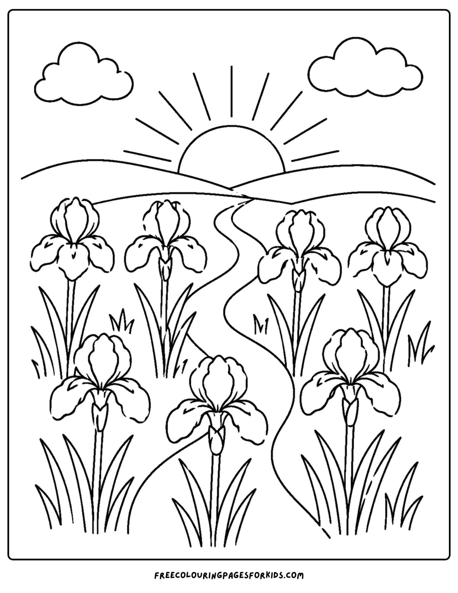 a coloring page of a flower field of iris at sunrise over a hill